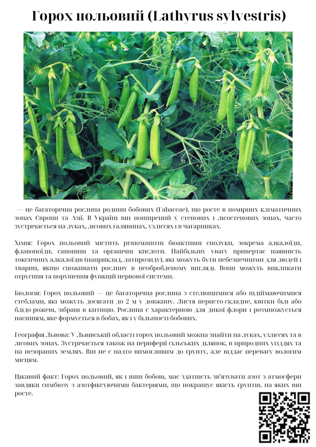 C:\Users\Admin\Desktop\робота школа\навчальний рік 24-25\Грунти\IMG_5258.PNG